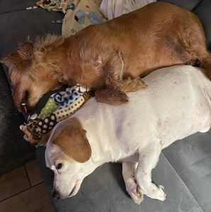 Meet your Posher, Linda